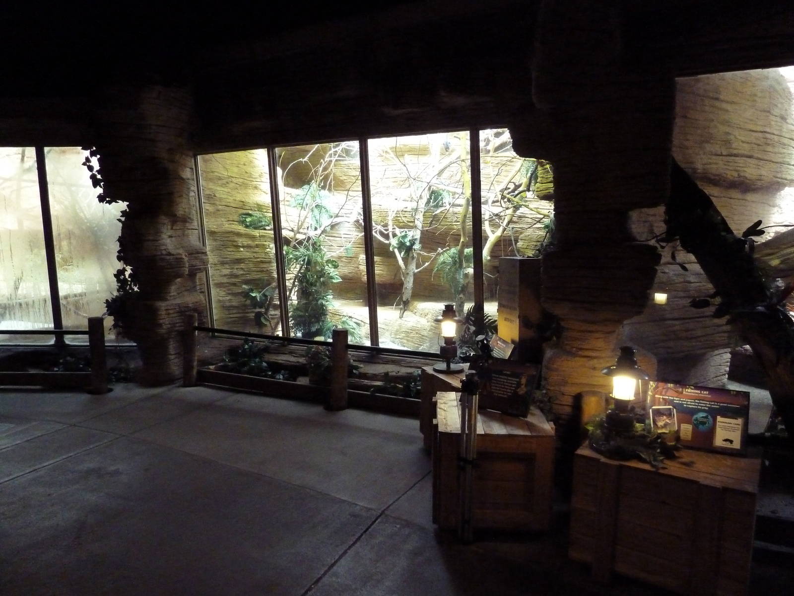 Lion-Tailed Macaque + Rodrigues Fruit Bat Exhibits