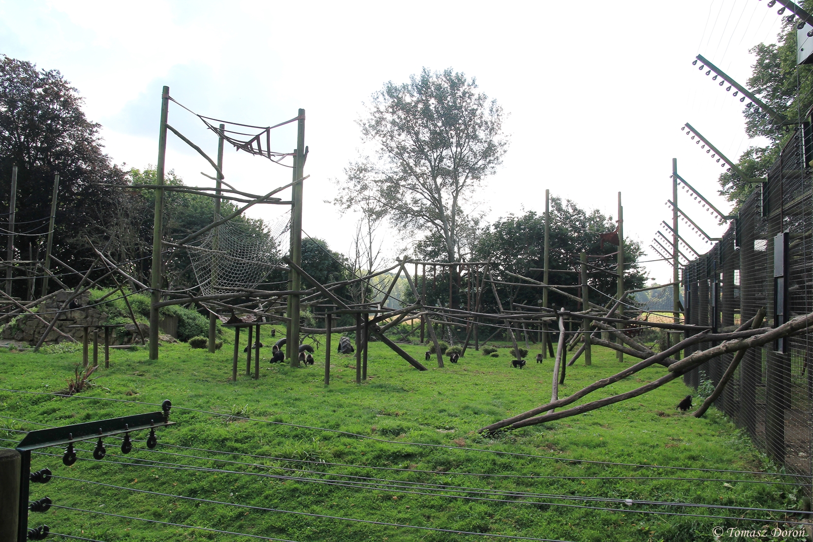 Lion-tailed Macaques enclosure