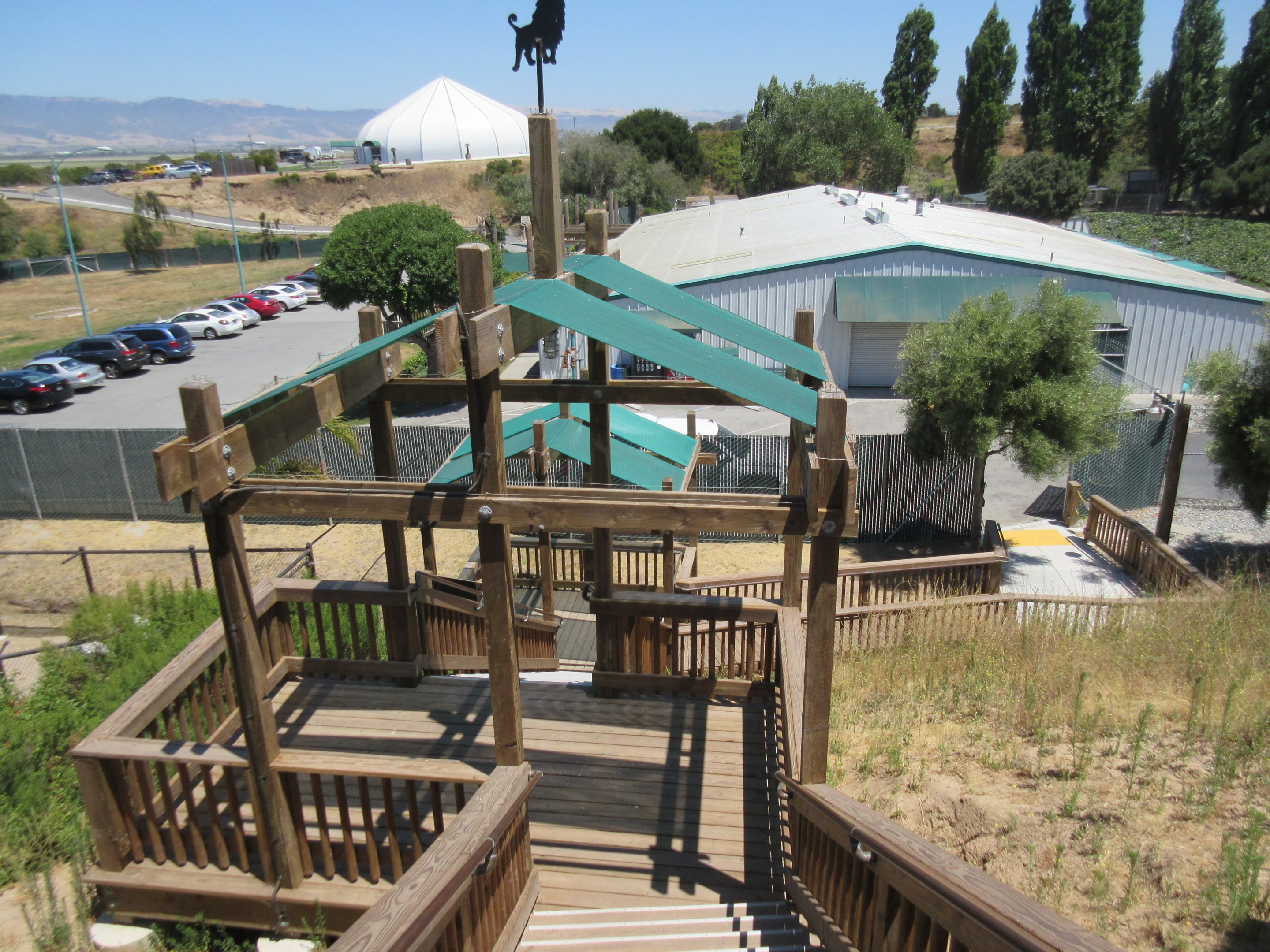 Lion/Tiger/Bear Exit Stairs (New in 2017)