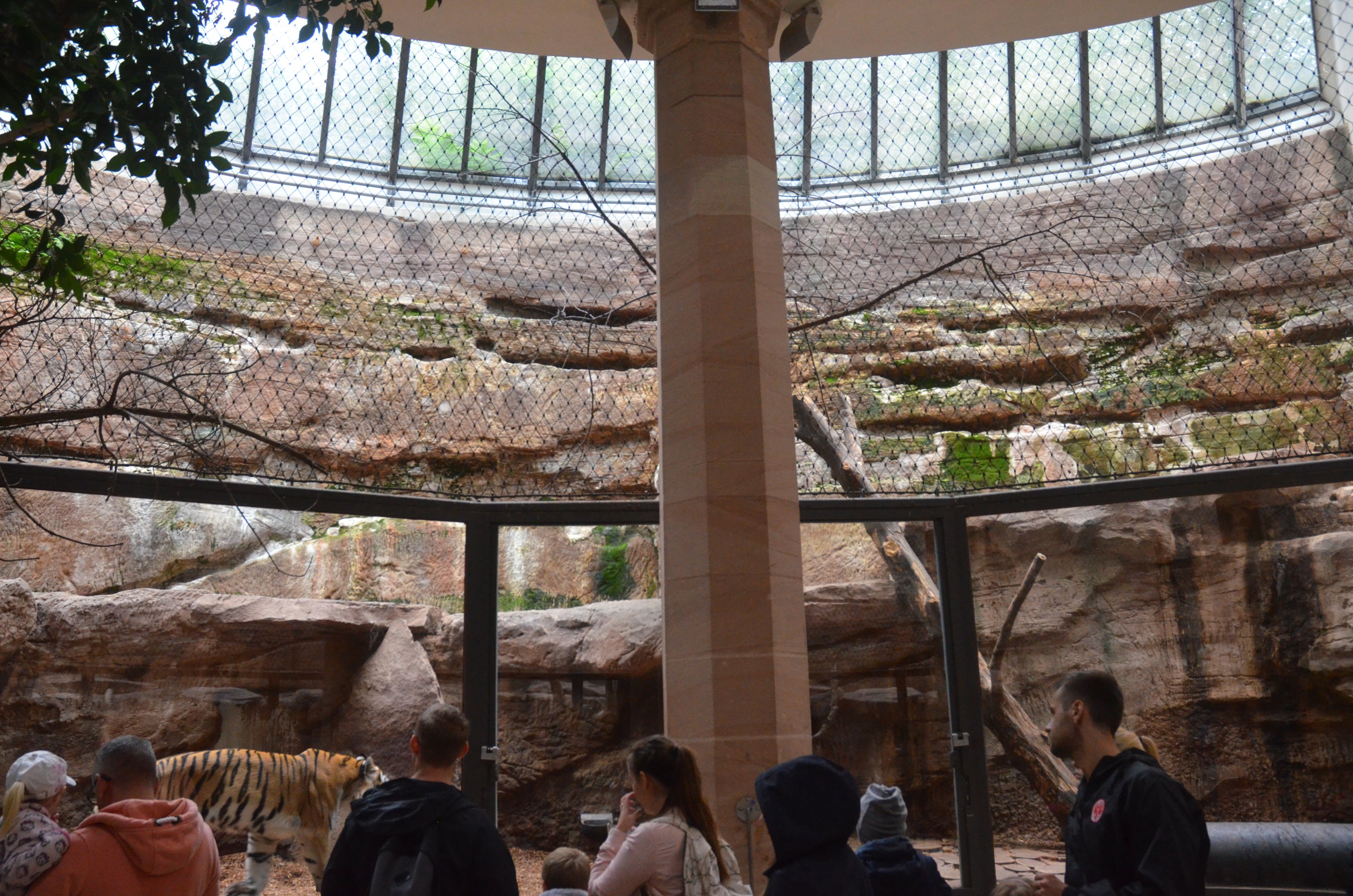 Lion/Tiger House Interior at Nuremberg, 08/09/19
