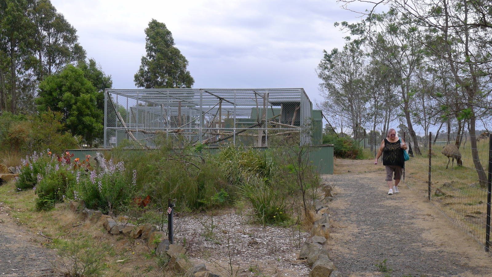 Lion tiled macques enclosure