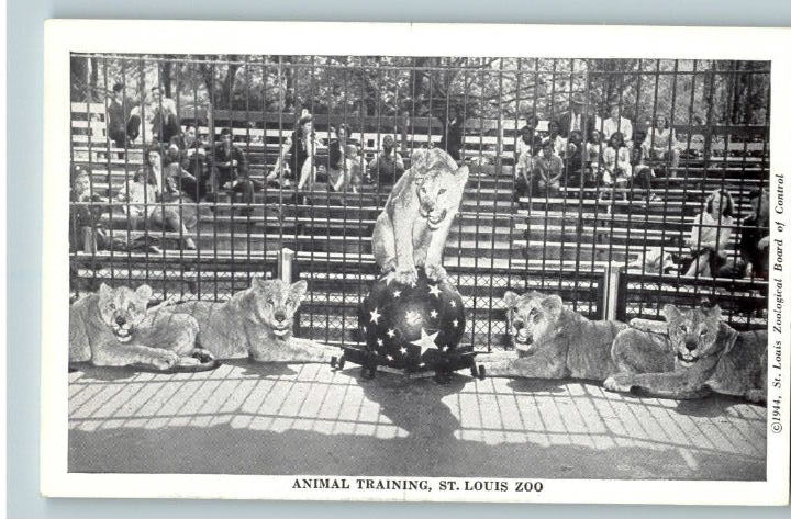 Lion Training Act