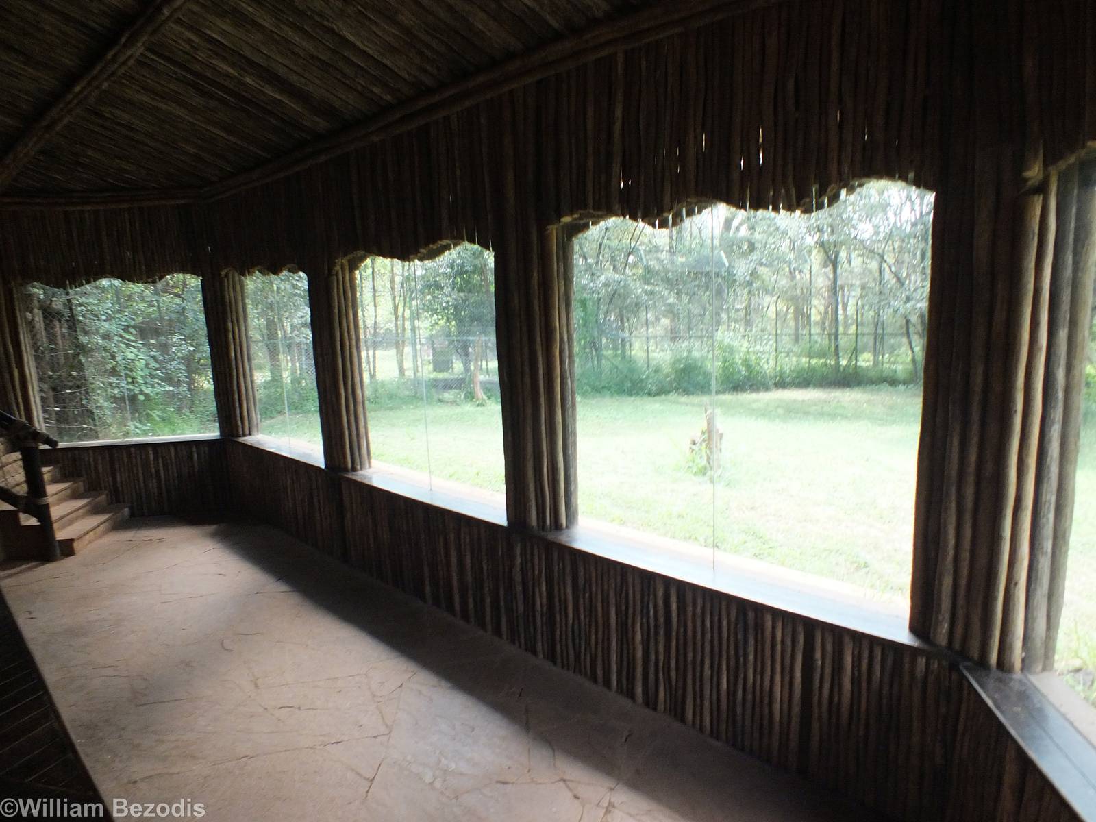 Lion Viewing Area - Nairobi Safari Walk