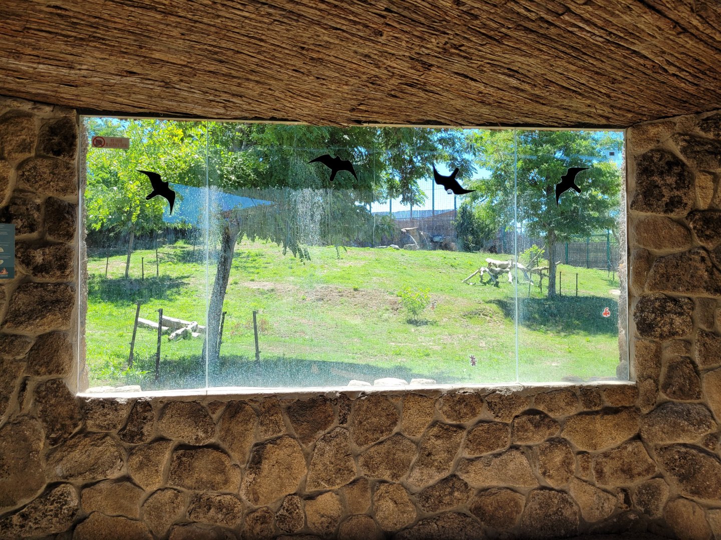 Lion viewing area -Sendaviva (2024)