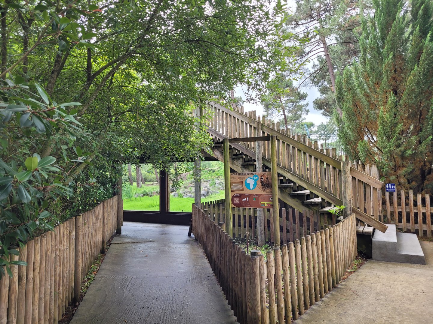 Lion viewing area -Zoo du bassin d'Arcachon (2024)