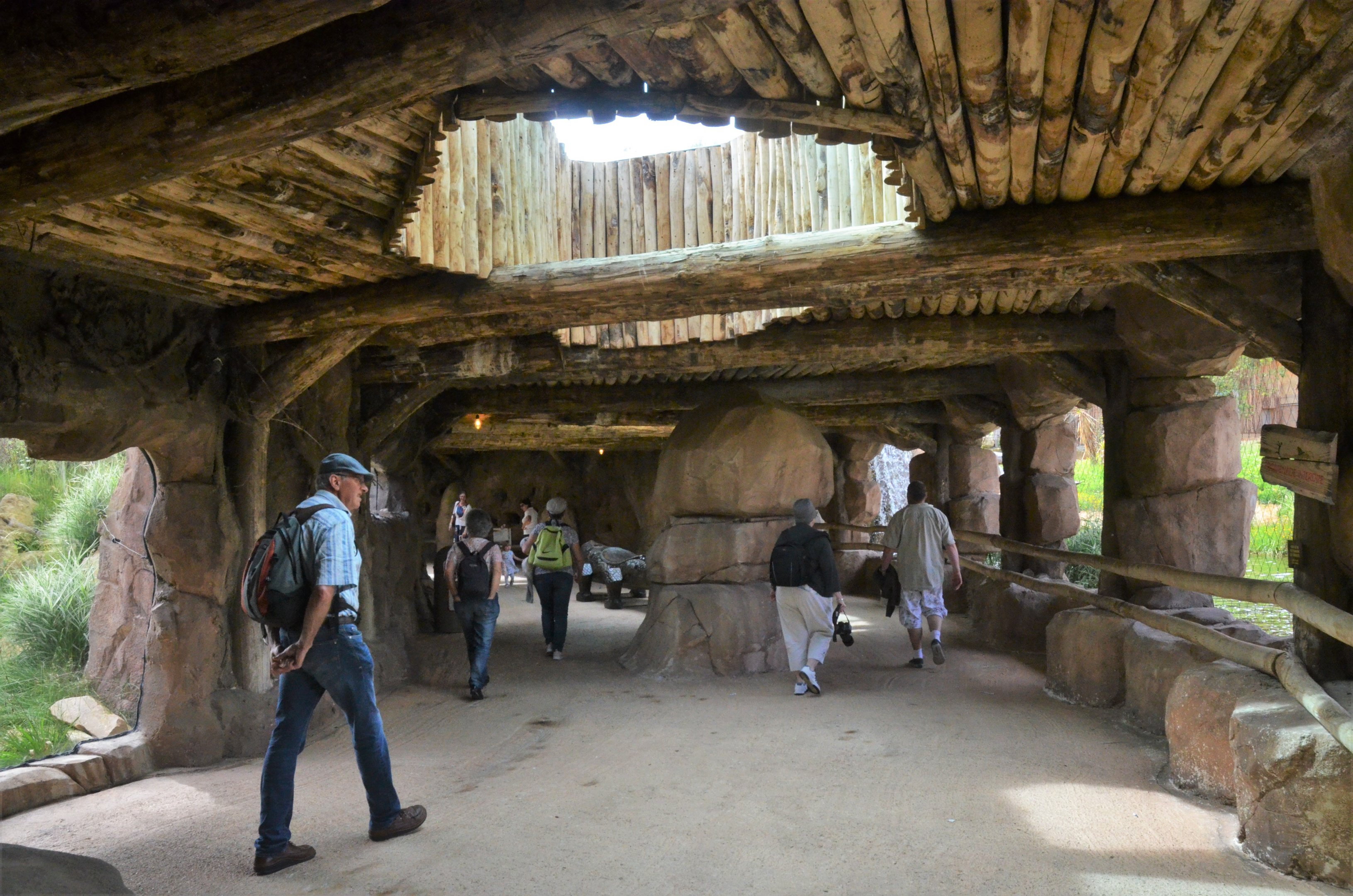 Lion Viewing at Beauval, 12/06/18