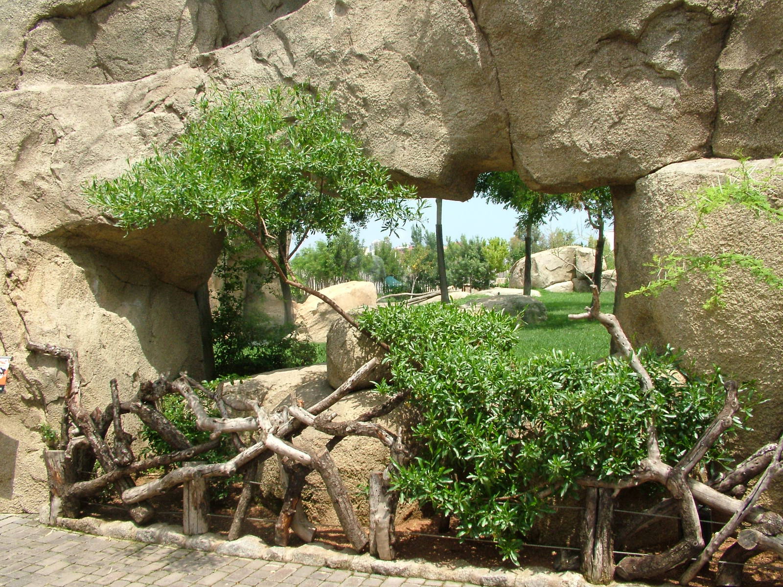 Lion Viewing at Bioparc Valencia, 28/05/11