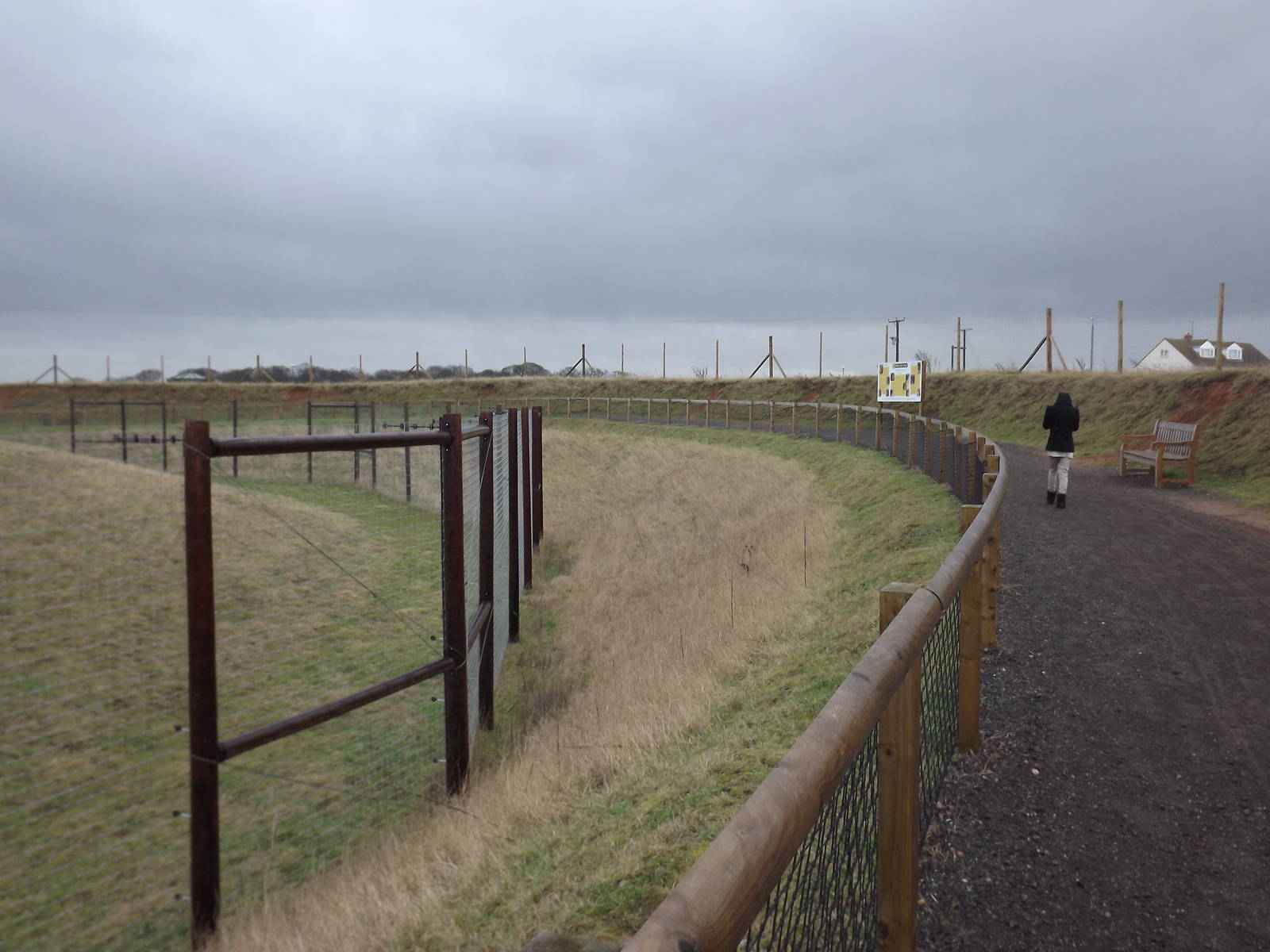 Lion viewing at Yorkshire Wildlife Park 18/02/12