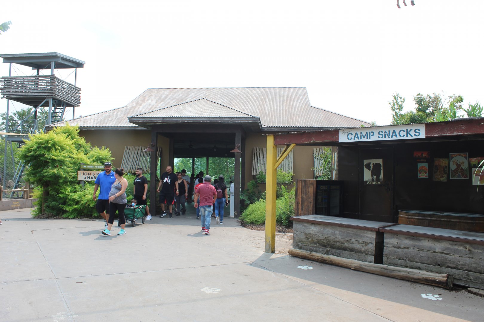 Lion Viewing Shelter - African Grasslands