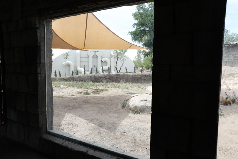 lion viewing window and event pavillion