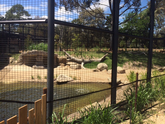 Lion watering hole Lion Gorge