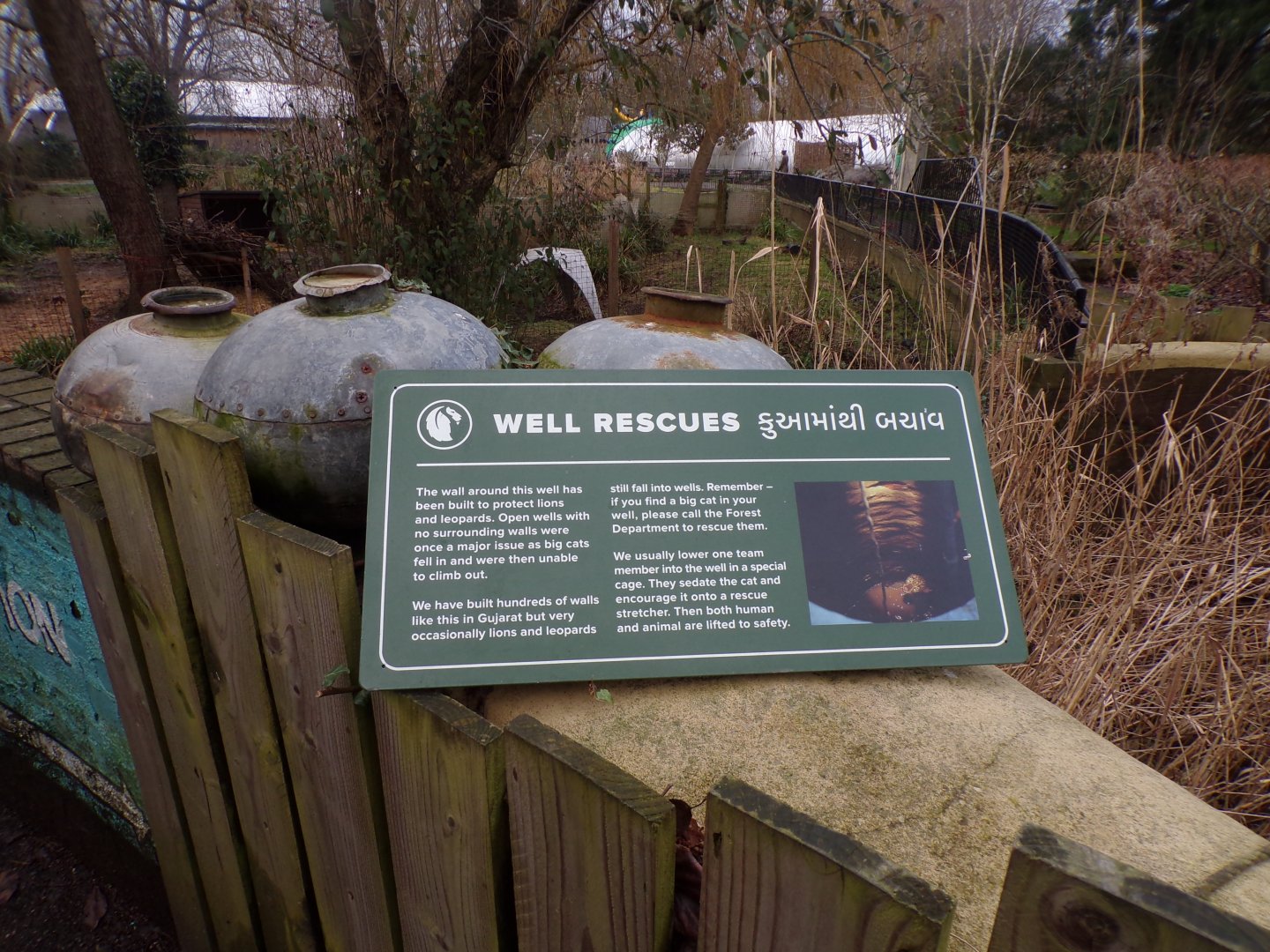 Lion well rescue signage 11.2.25