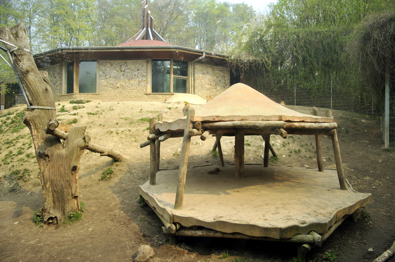 Lionenclosure at osnabrück zoo
