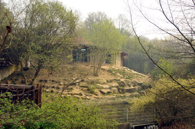 Lionenclosure at osnabrück zoo