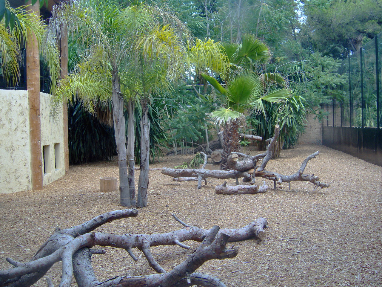 Lions exhibit 2007