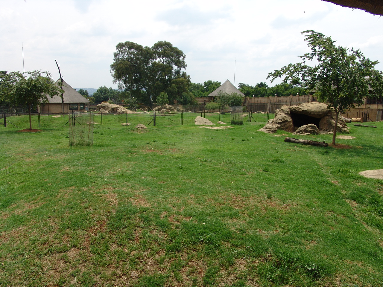 Lion's exhibit