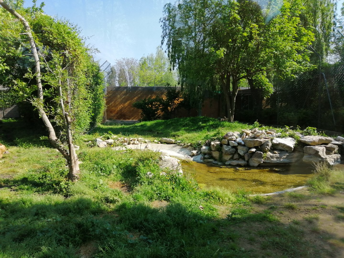 Lions Exhibit