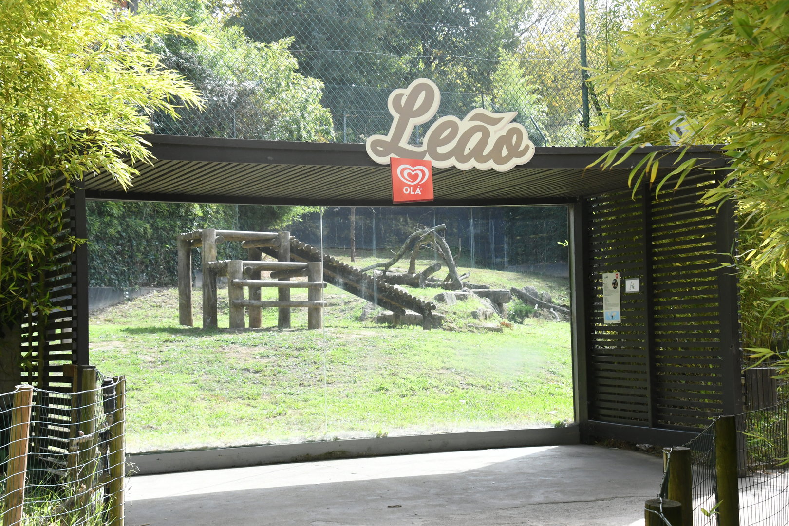 Lions exhibit