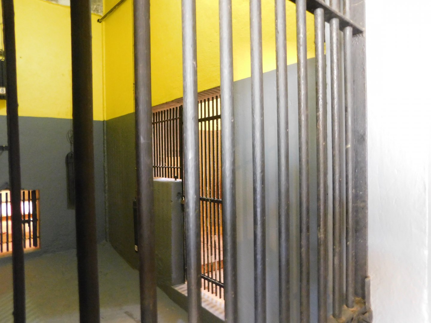 Lion's exhibit's backstage area - Belo Horizonte zoo