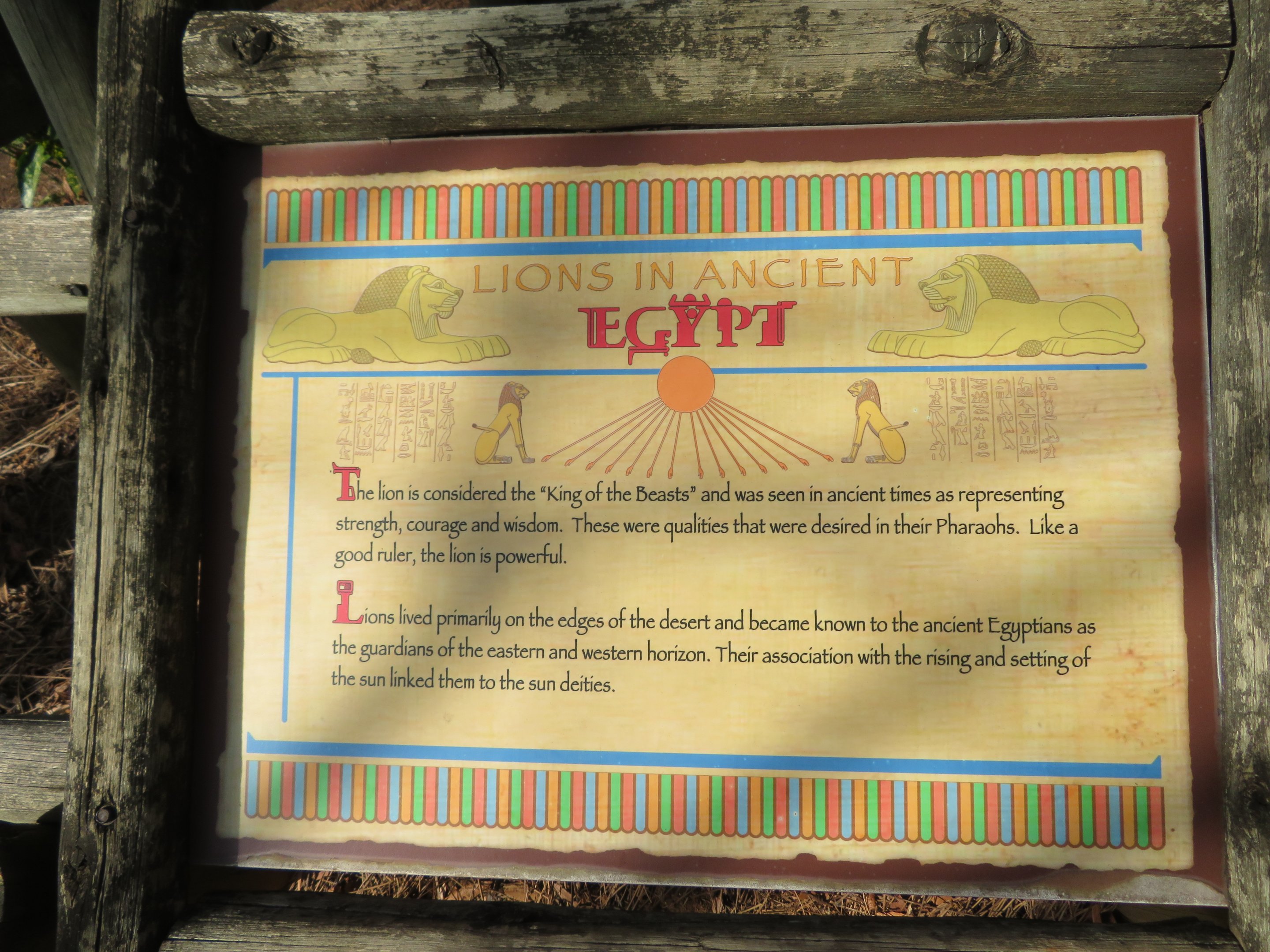 Lions in Egypt Signage