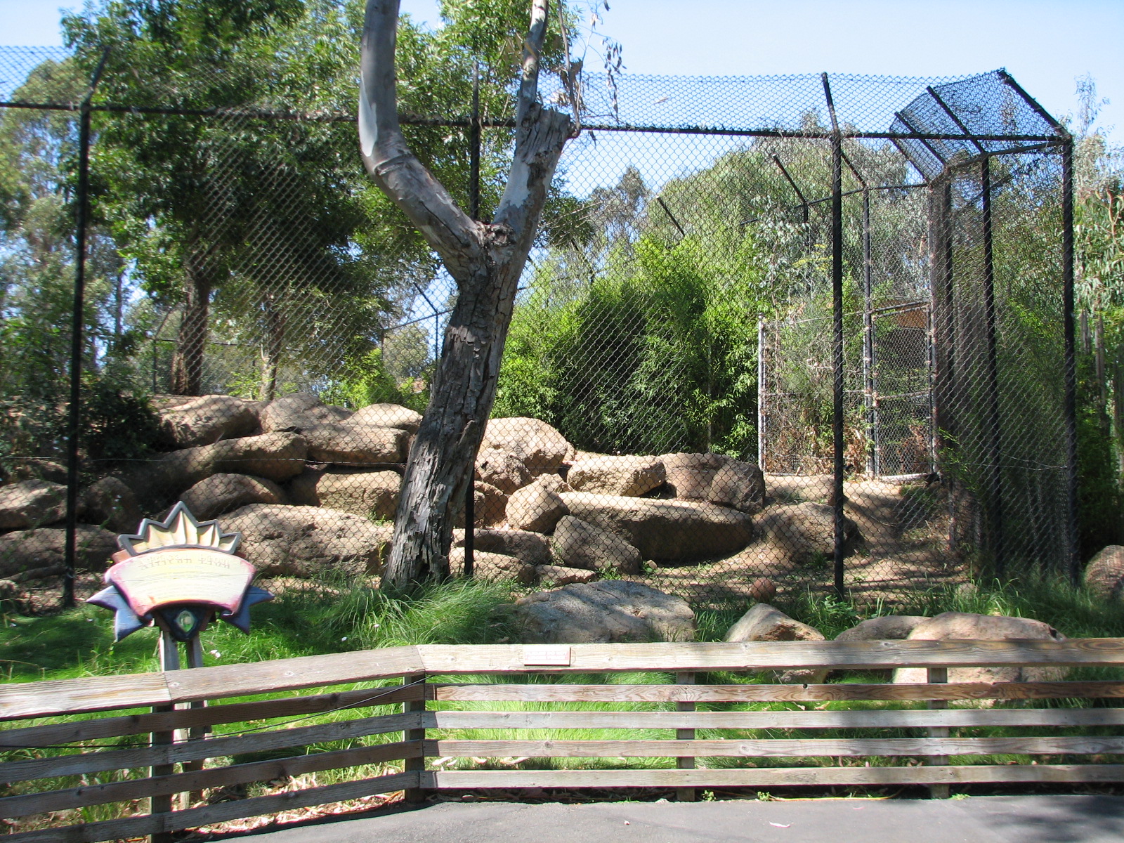 Lions Lair - African Lion Exhibit