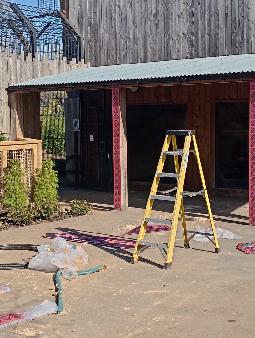 Lions of India construction