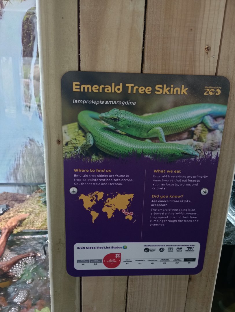 LIONS OF INDIA-Emerald tree skink signage