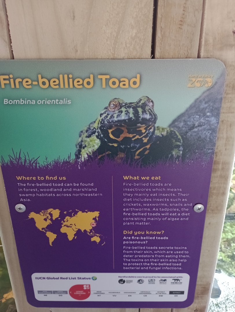 LIONS OF INDIA-Fire-bellied toad sign