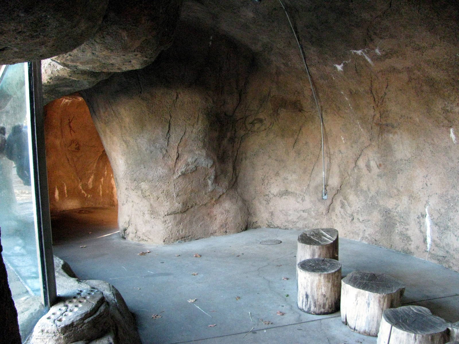 Lion's Pride-Viewing Shelter