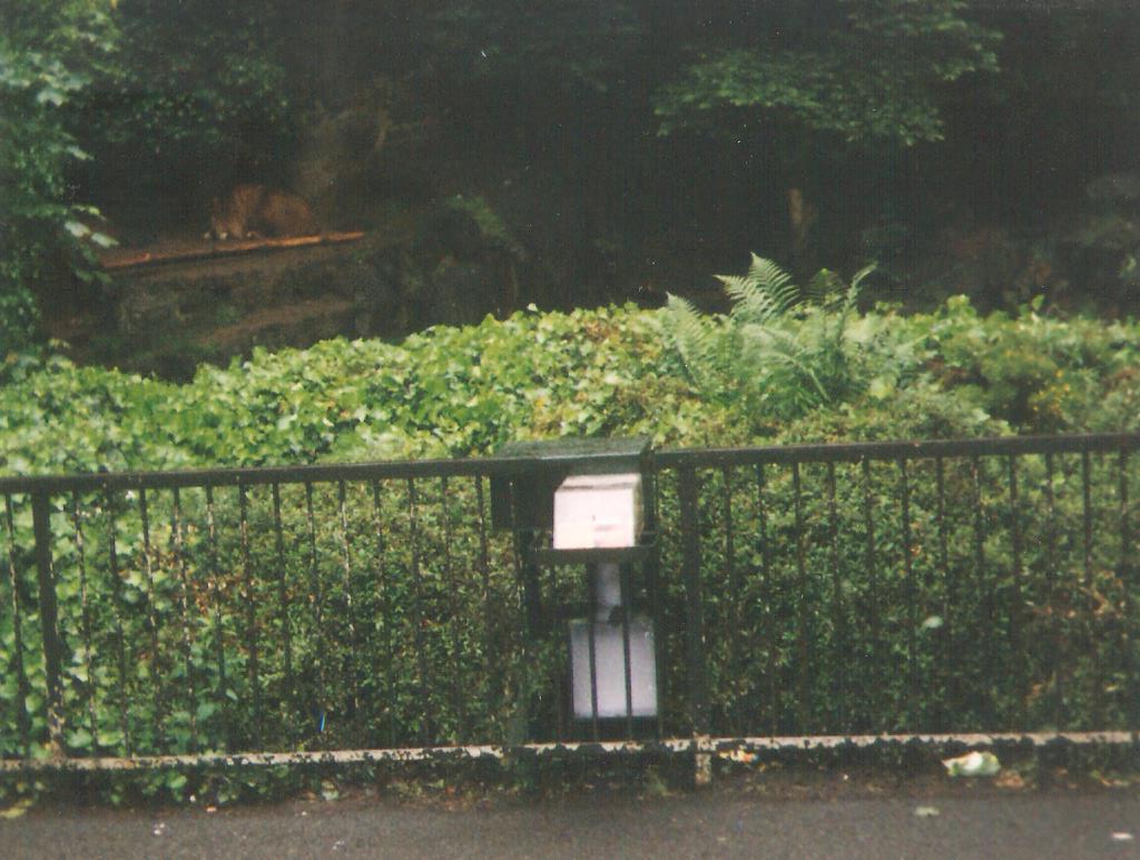 Lions Rock Edinburgh Zoo