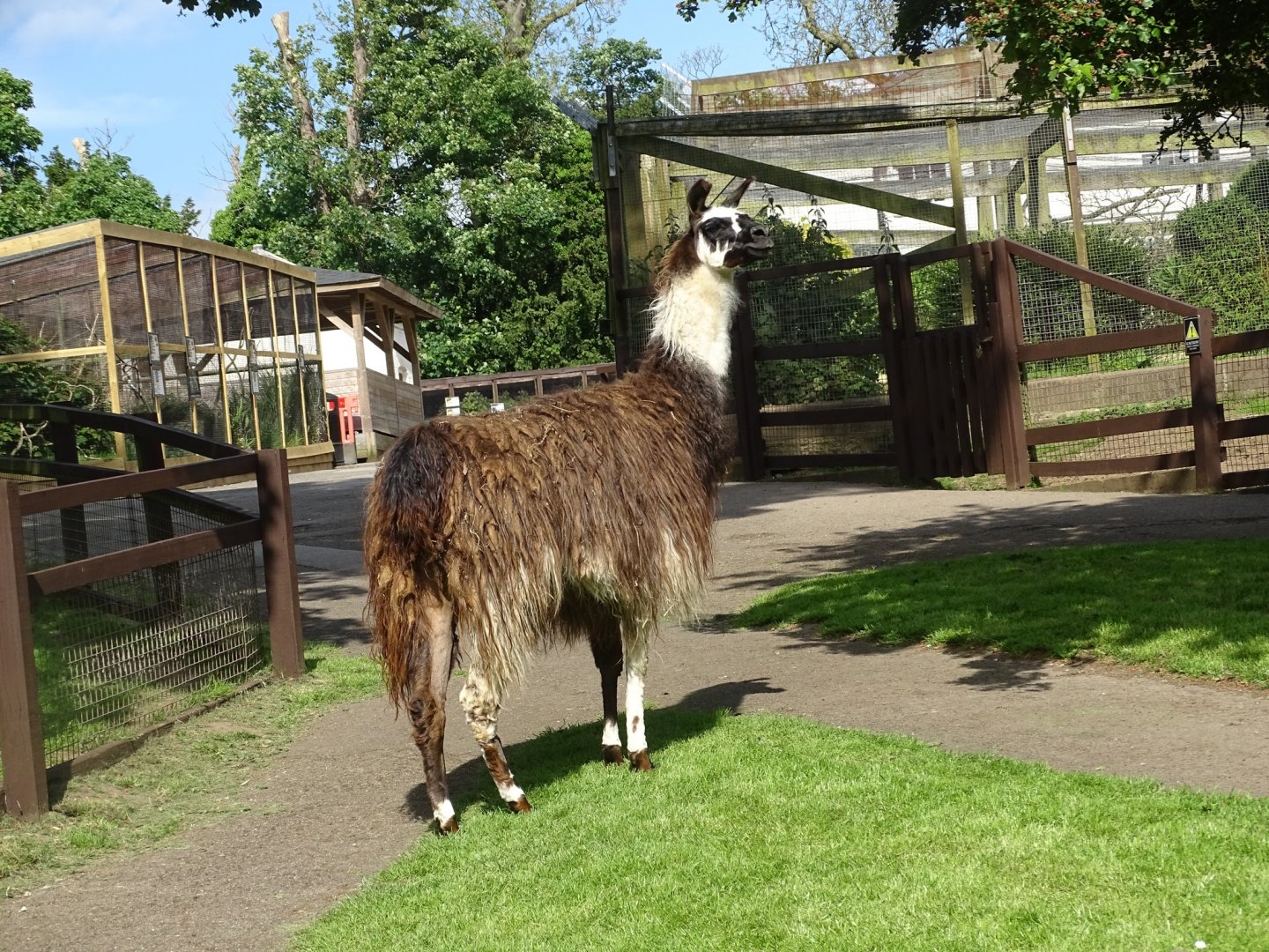 Lisa Marie, 6th June 2024