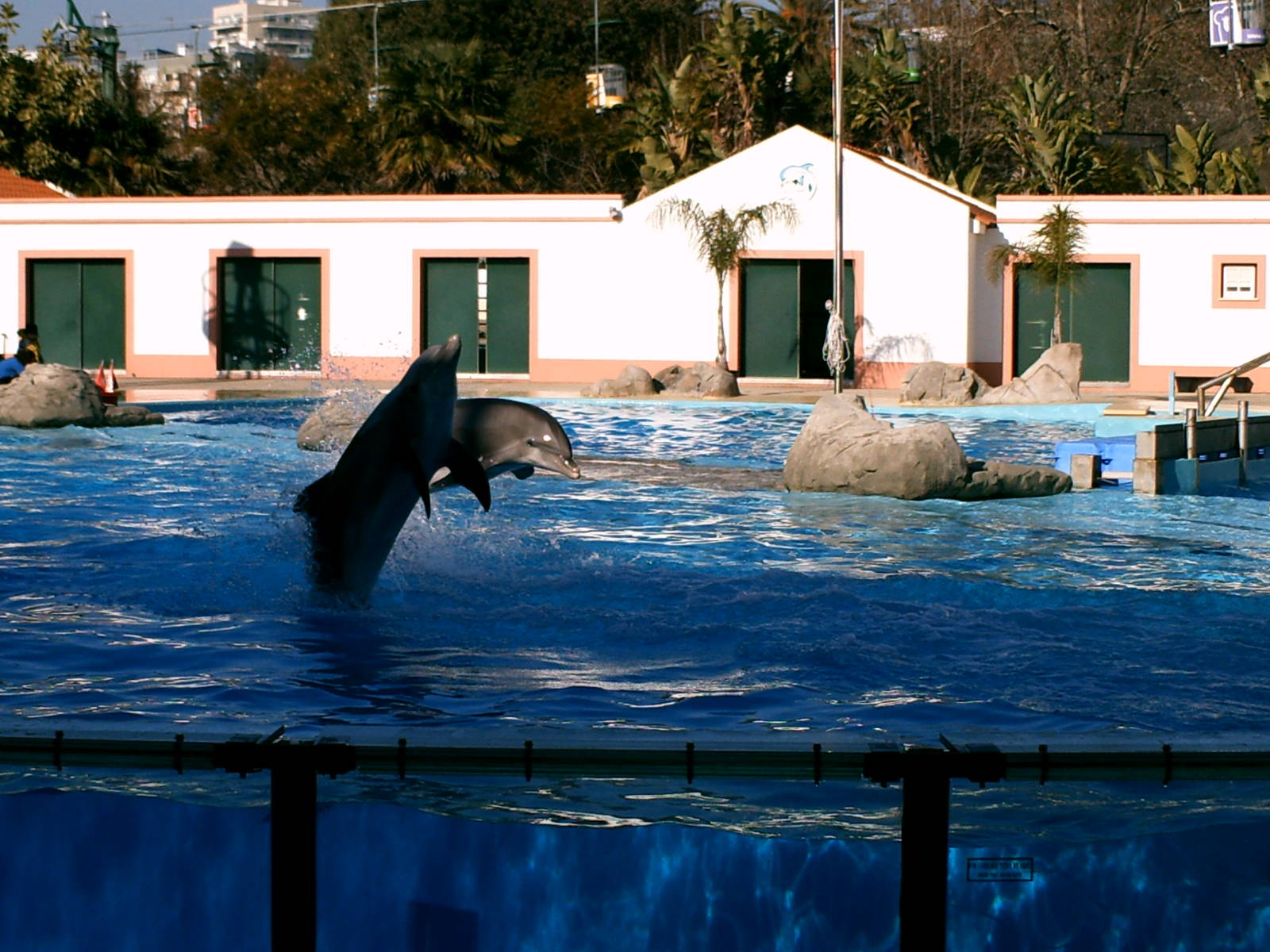 Lisboa Zoo: circa 2008