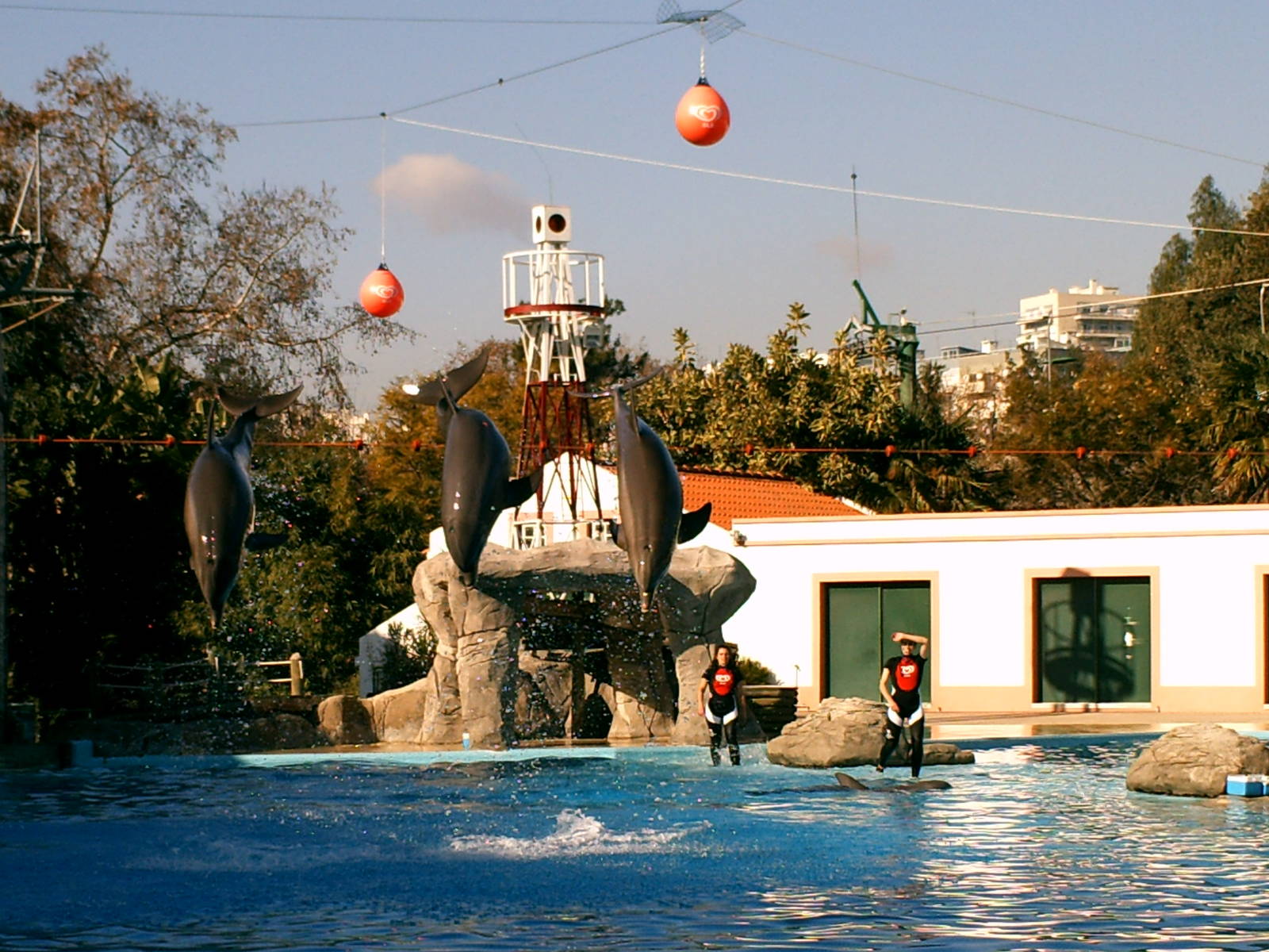 Lisboa Zoo: circa 2008