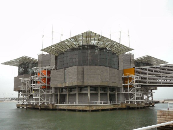 Lisbon Oceanario (aquarium)