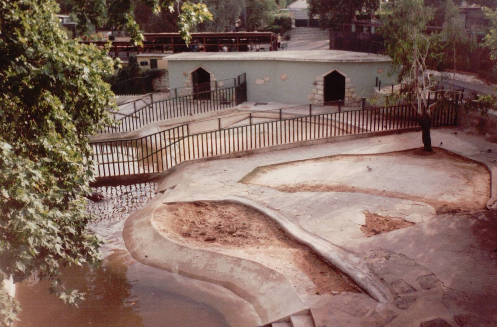 Lisbon Zoo 1997 - Common Hippopotamus exhibits seen from the skyrail