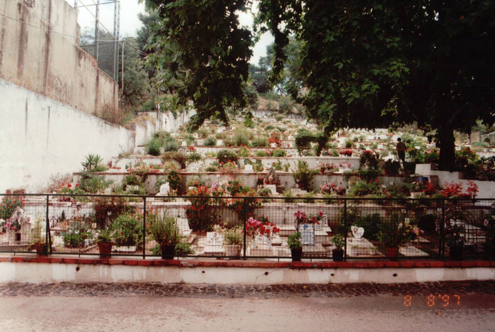 Lisbon Zoo 1997 - Pet Sematary on the zoo grounds