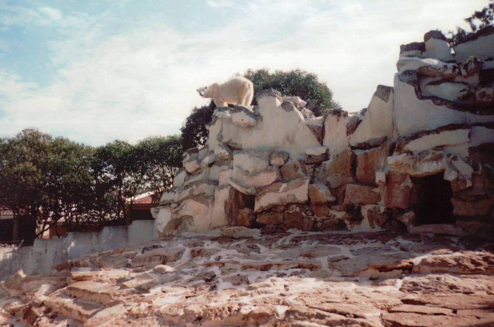 Lisbon Zoo 1997 - Polar Bear exhibit