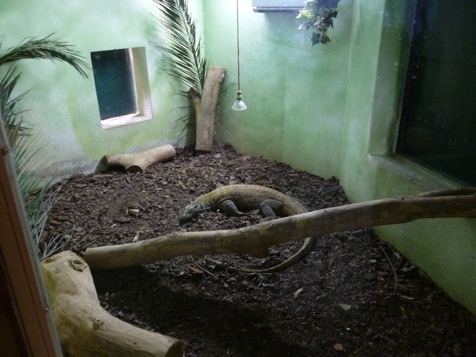 Lisbon Zoo 2011
