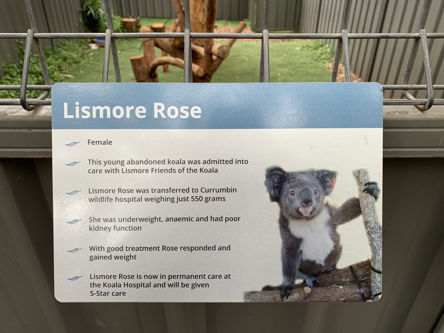 Lismore Rose Information Sign