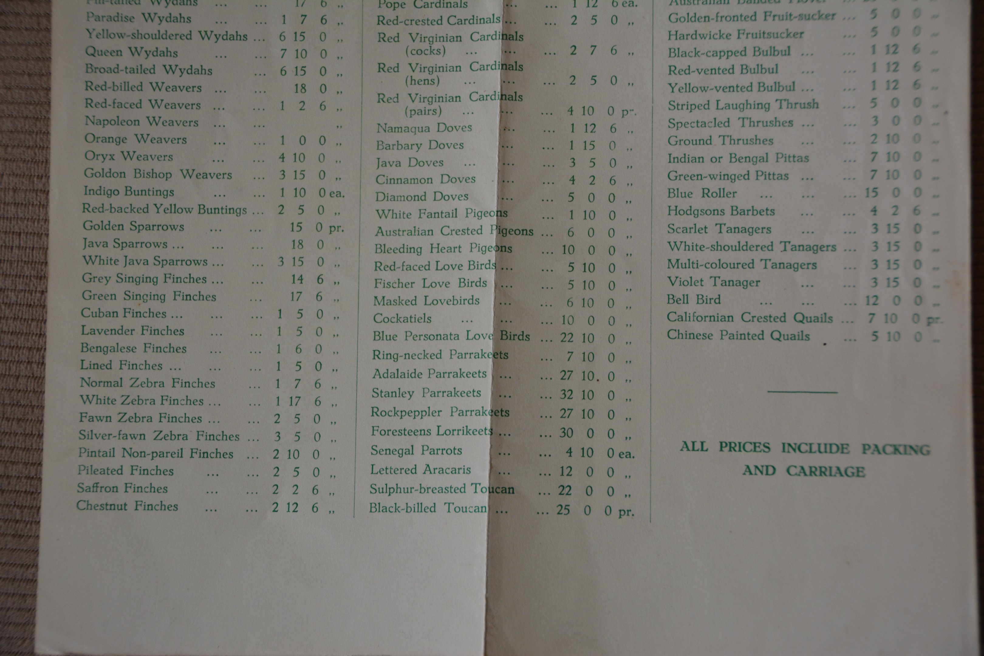 List of birds for sale 2