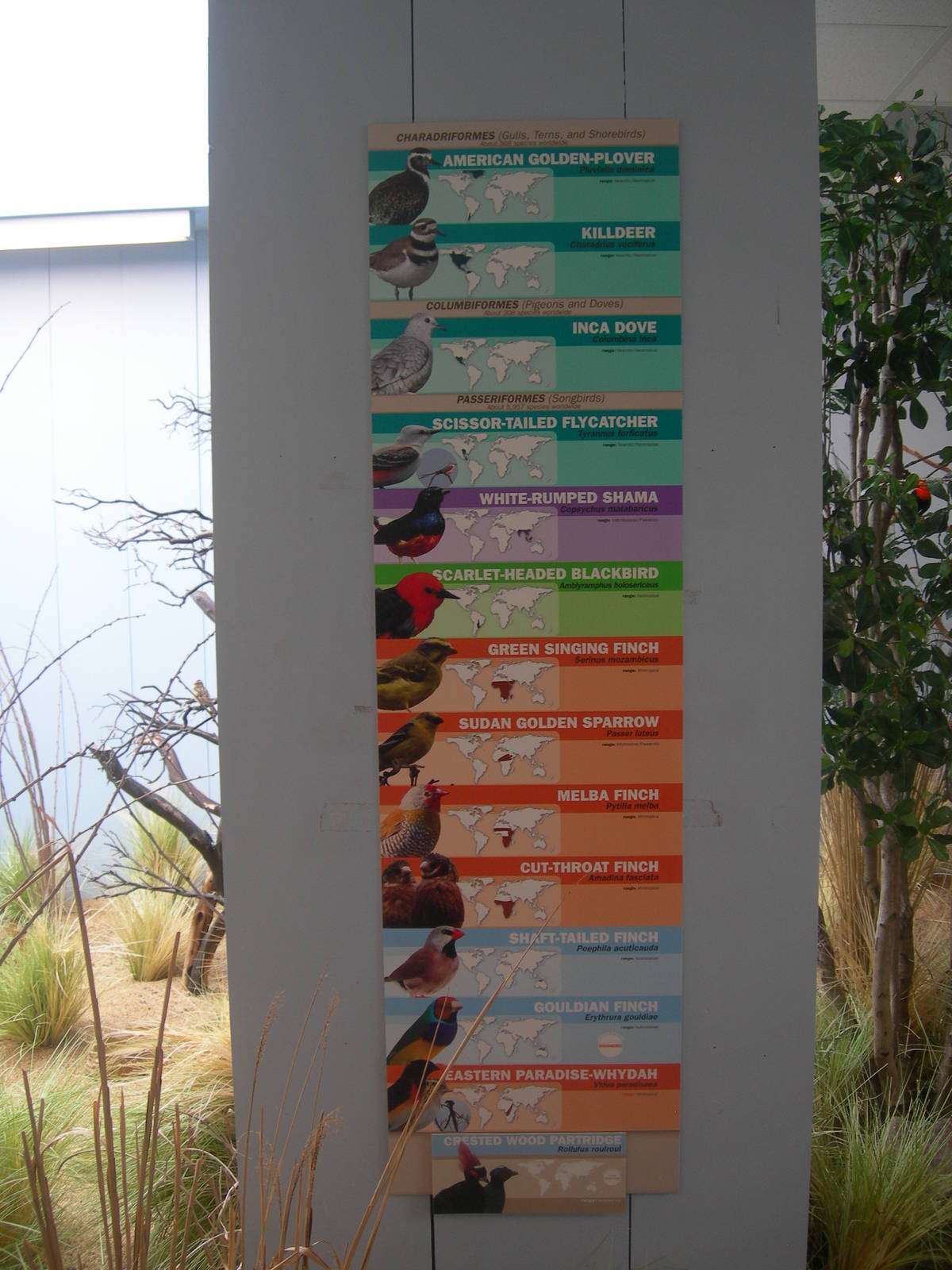 List of Birds in the Grasslands Exhibit