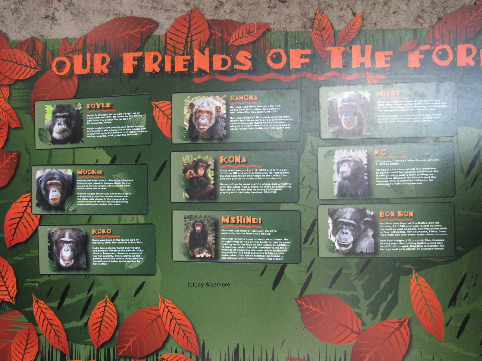 List of Chimpanzees at the Zoo