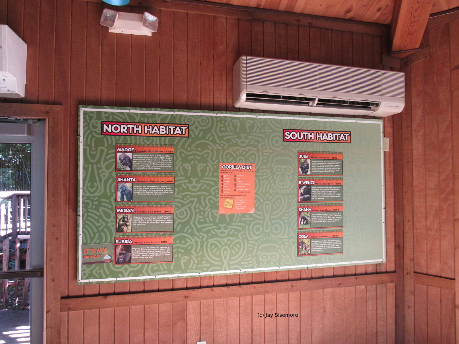 List of Dallas Zoo Gorillas