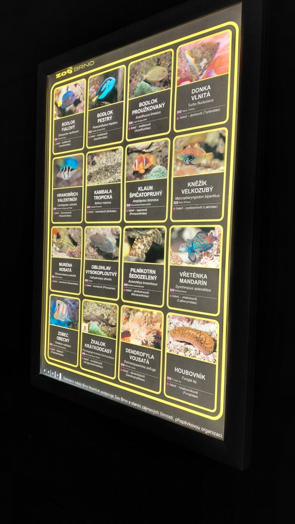 List of saltwater species - 1