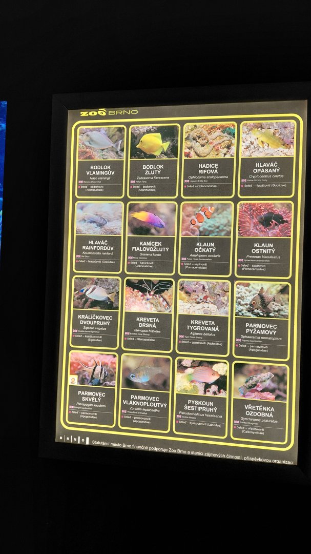 List of saltwater species - 2