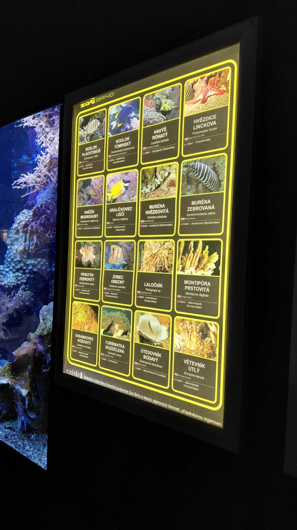 List of saltwater species - 3