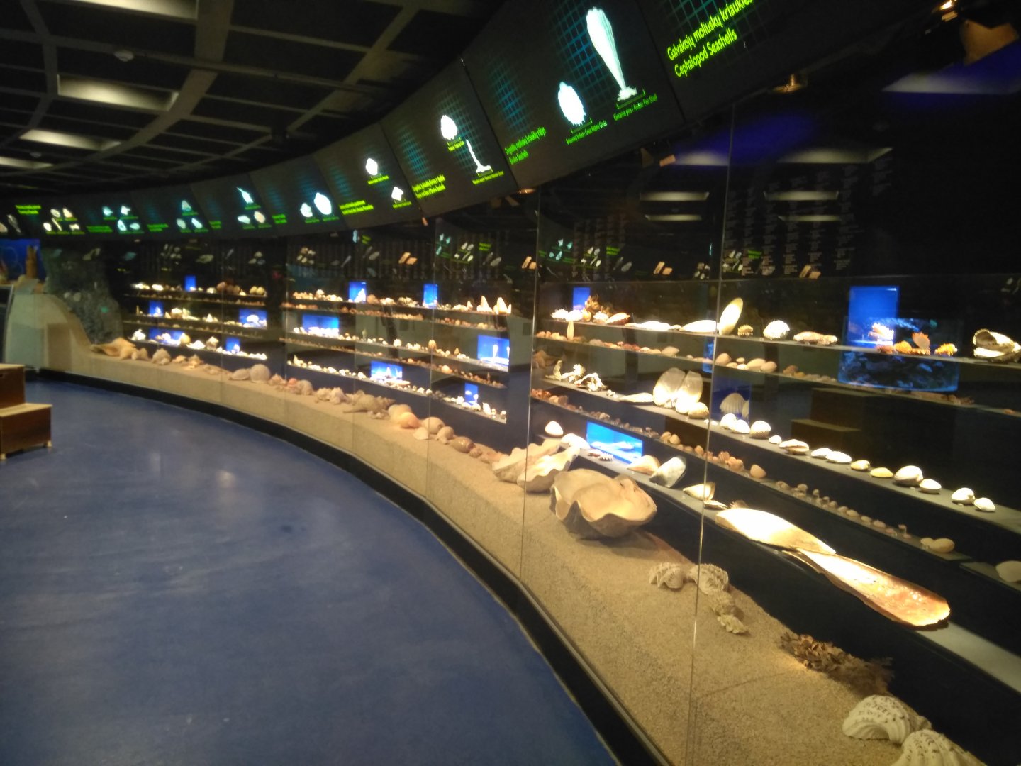 Lithuanian sea museum and Dolphinarium