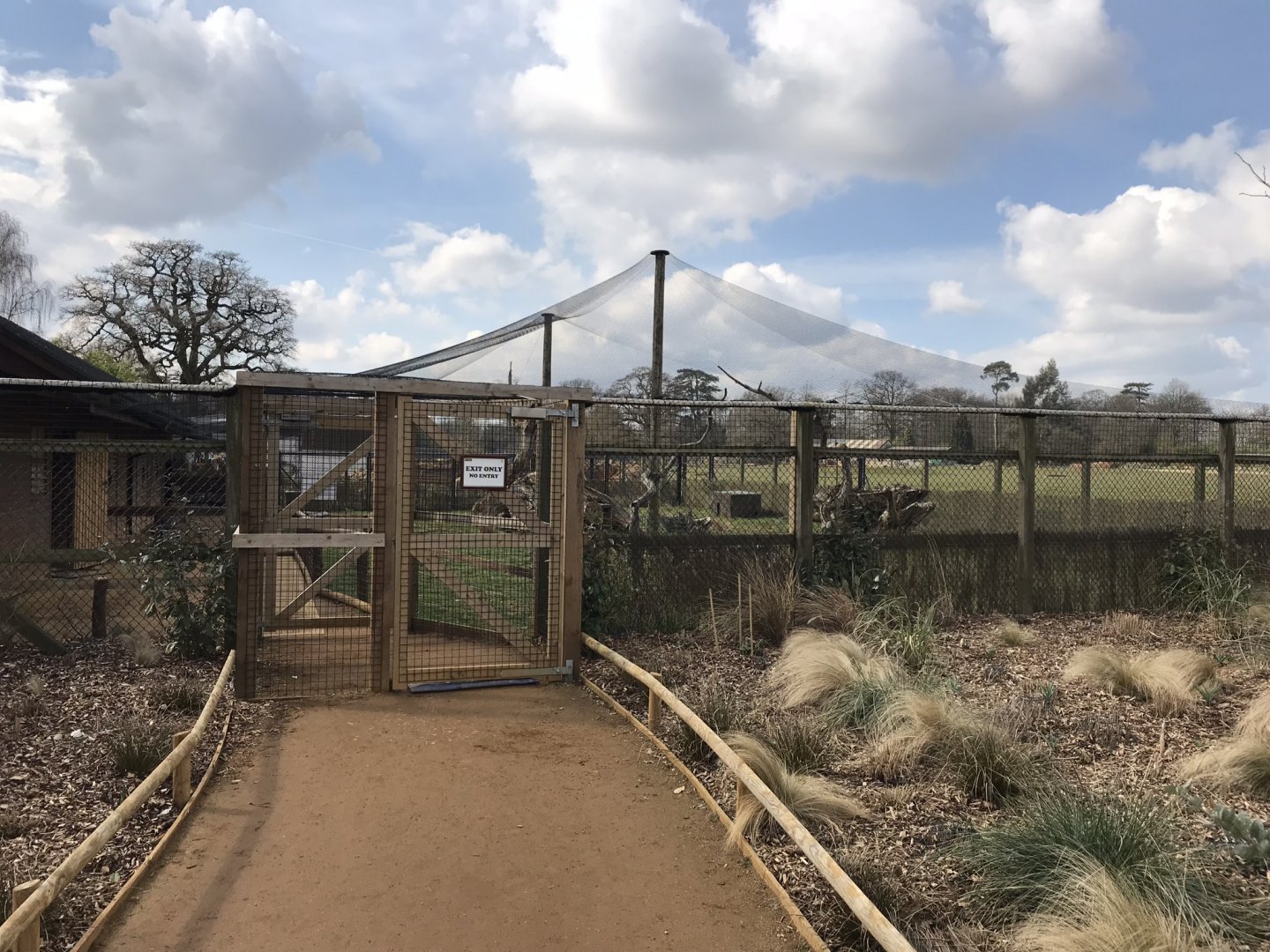Little Africa - Blue/Stanley crane and Kirk’s dik-dik exhibit 250318