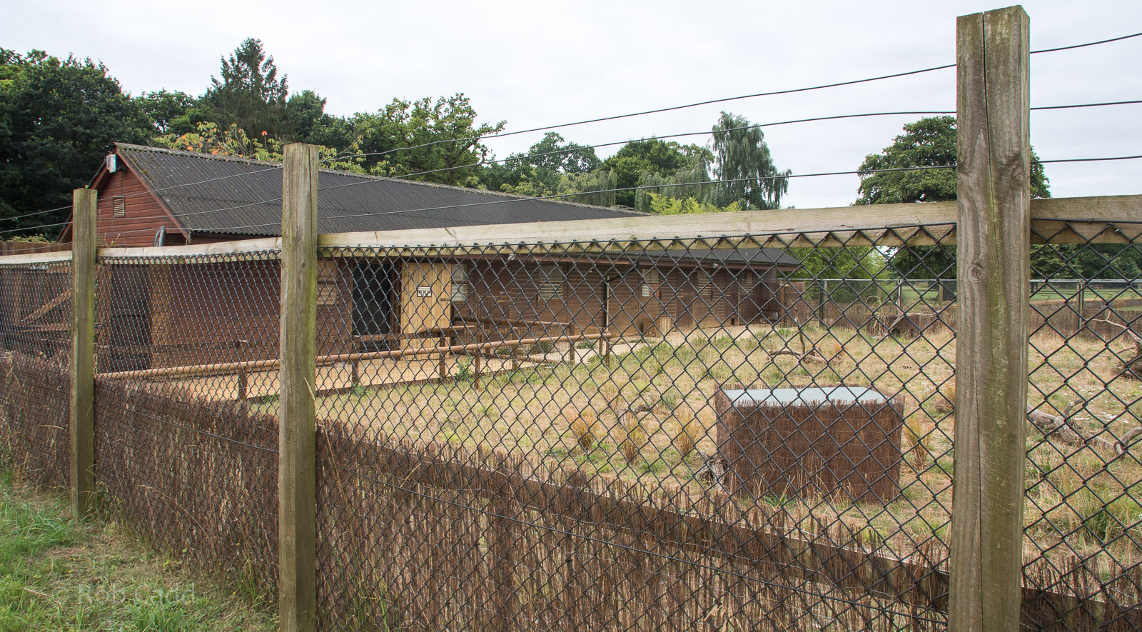 Little Africa (exhibit) : Cotswold WP : 14 Aug 2016