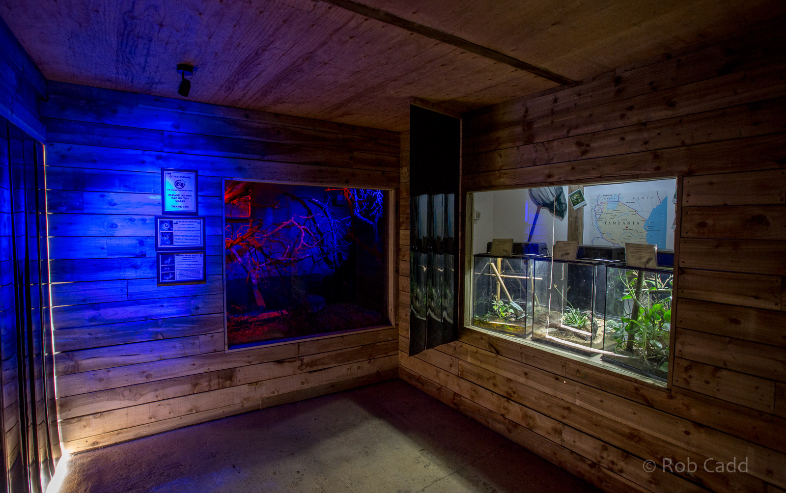 Little Africa (exhibit) : Cotswold WP : 14 Aug 2016